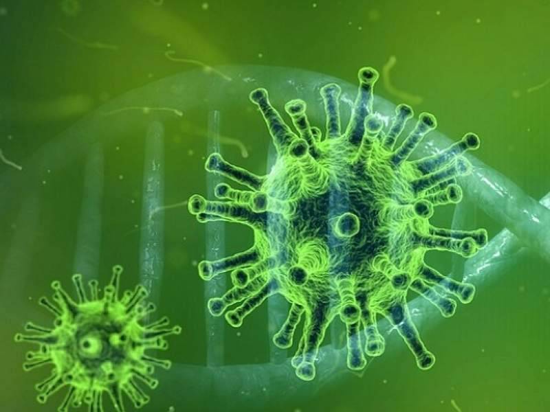 Люк Монтанье - Нобелевский лауреат заявил, что коронавирус выведен в лабораториях Уханя - dayonline.ru - Ухань