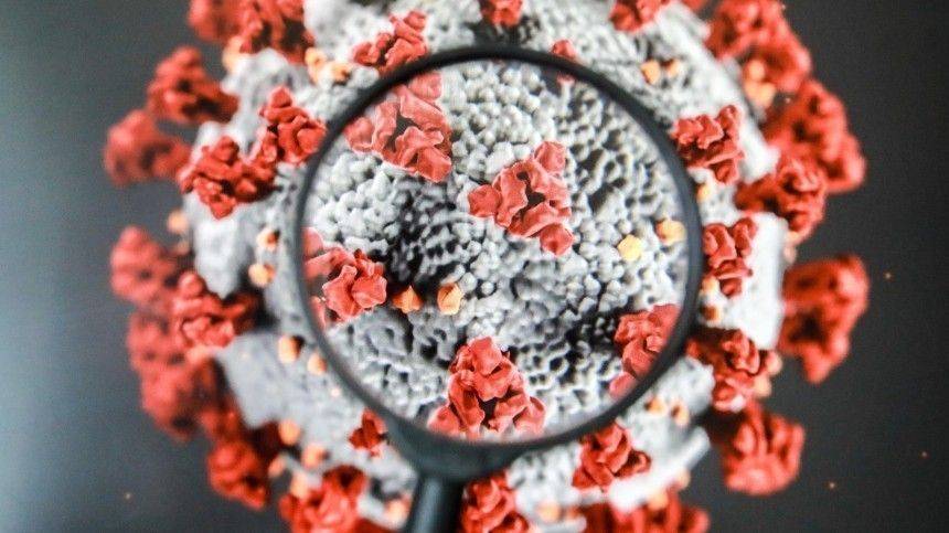 Международная команда ученых выявила новые ранние симптомы заражения коронавирусом - 5-tv.ru