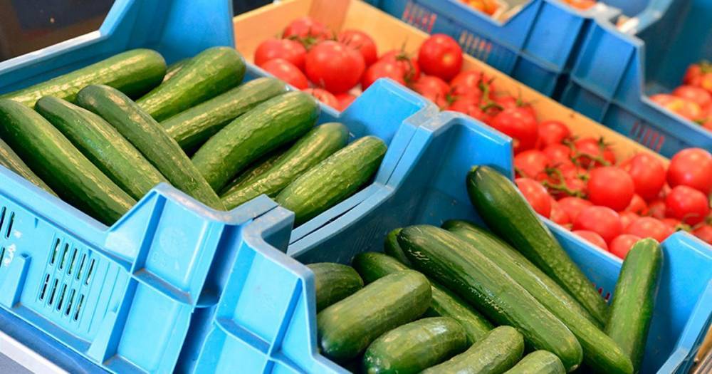 В МЧС посоветовали замачивать помидоры, огурцы и зелень - ren.tv
