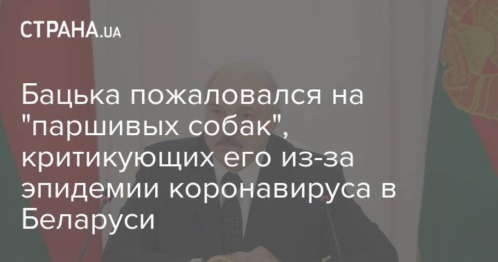 Александр Лукашенко - Бацька пожаловался на "паршивых собак", критикующих его из-за эпидемии коронавируса в Беларуси - strana.ua - Белоруссия