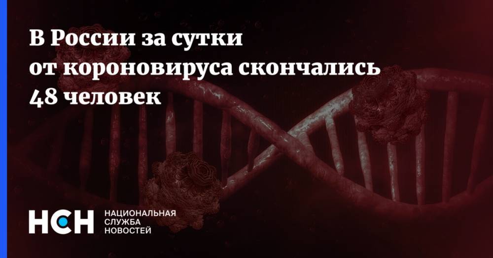 В России за сутки от короновируса скончались 48 человек - nsn.fm - Россия
