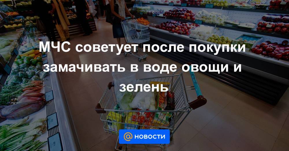 МЧС советует после покупки замачивать в воде овощи и зелень - news.mail.ru - Россия
