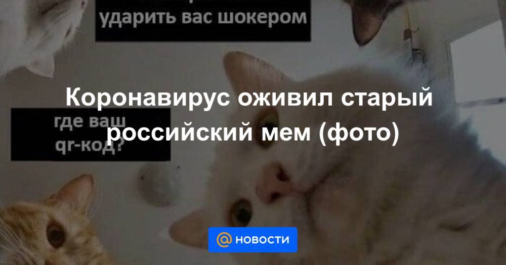 Коронавирус оживил старый российский мем (фото) - news.mail.ru