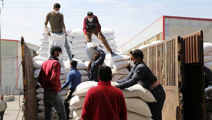 Российские военные передали сирийцам 42 тонны продовольствия - vesti.ru - Сирия