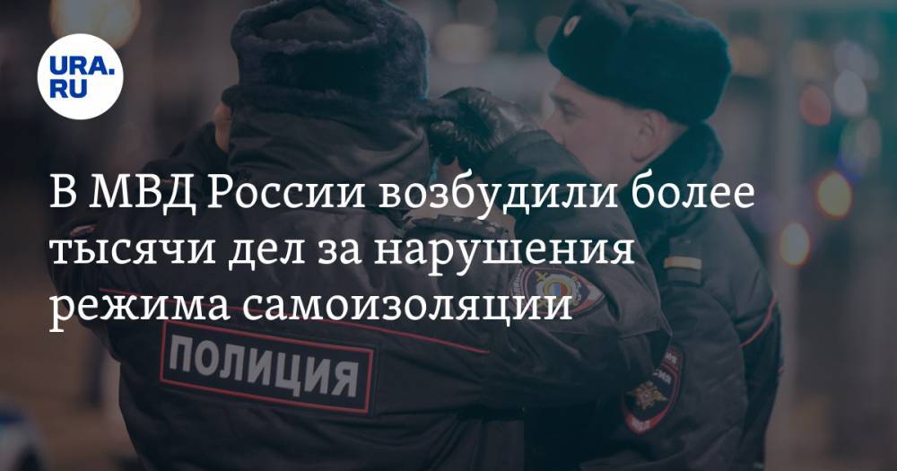 В МВД России возбудили более тысячи дел за нарушения режима самоизоляции - ura.news - Россия