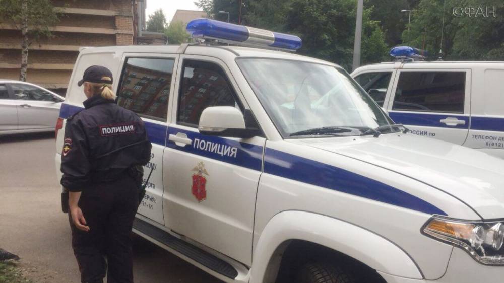 Полиция РФ приступила к мероприятиям по выявлению нарушителей режима самоизоляции - riafan.ru - Россия - Москва