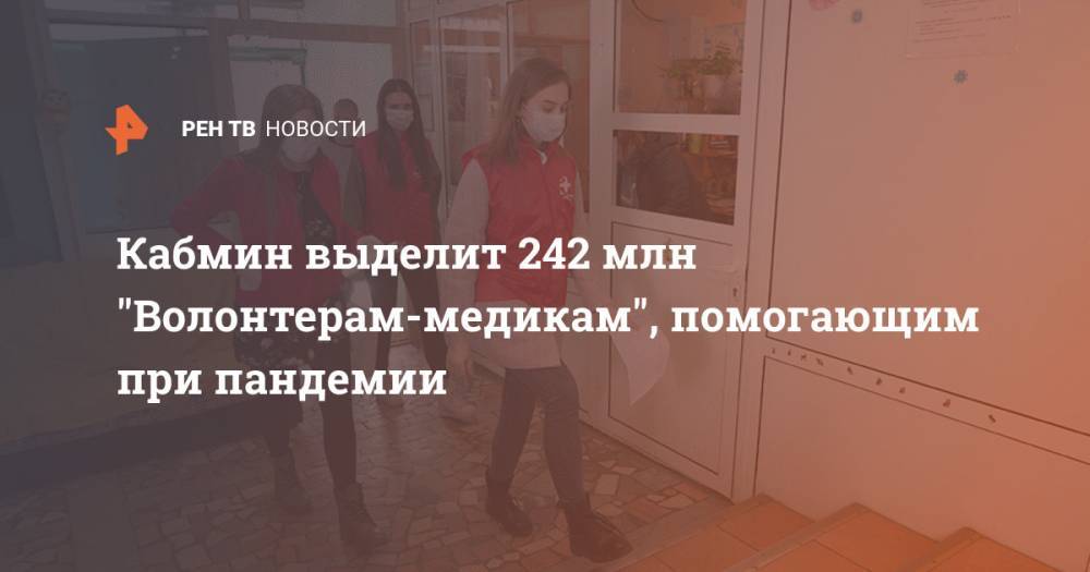 Михаил Мишустин - Кабмин выделит 242 млн "Волонтерам-медикам", помогающим при пандемии - ren.tv - Россия