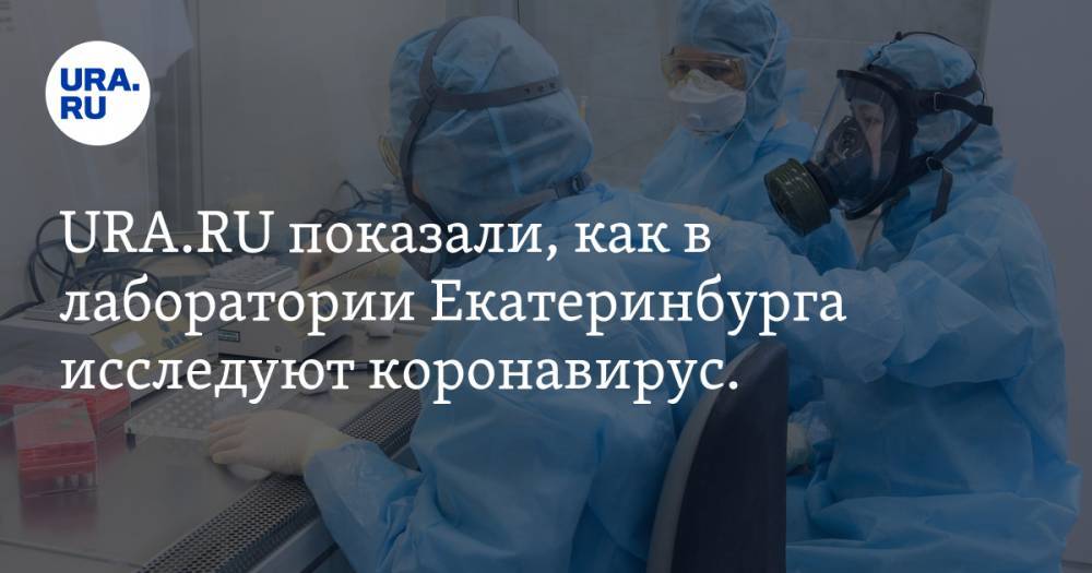 URA.RU показали, как в лаборатории Екатеринбурга исследуют коронавирус. ФОТО - ura.news - Екатеринбург