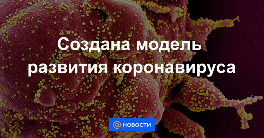 Создана модель развития коронавируса - news.mail.ru