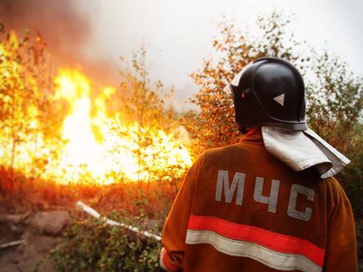 Ученый предупредил, что лесные пожары могут ухудшить ситуацию с коронавирусом - nakanune.ru