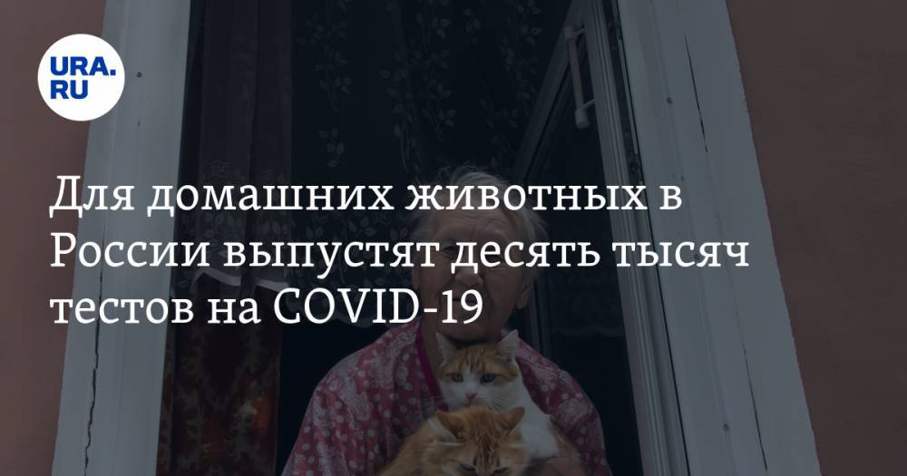 Константин Савенков - Названы наиболее восприимчивые к коронавирусу домашние животные - ura.news