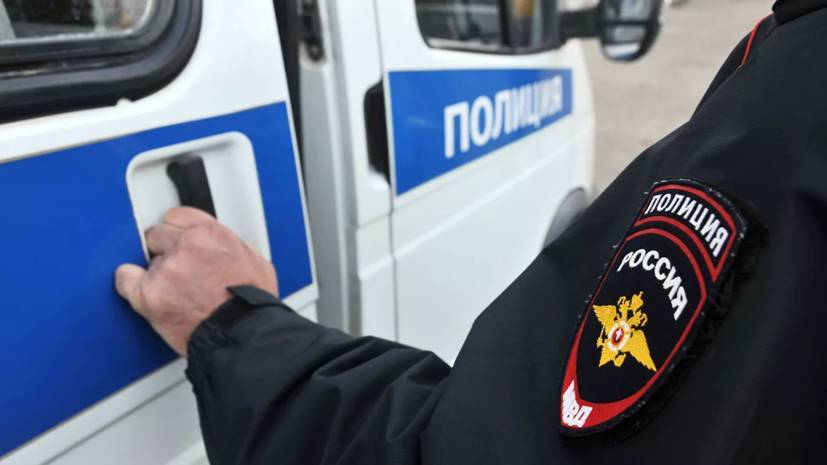 В Москве организовали проверку после применения силы полицейским к нарушителю самоизоляции - russian.rt.com - Москва