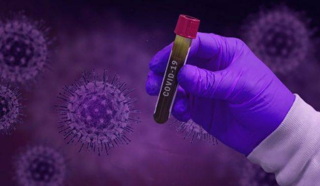 Обнаружена первая мутация Covid-19: вирус становится менее патогенным - eadaily.com - Индия
