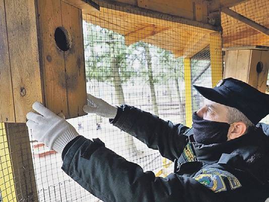 С заботой о зверях: как сотрудники парков ухаживают за животными в отсутствие гостей - vm.ru - Москва