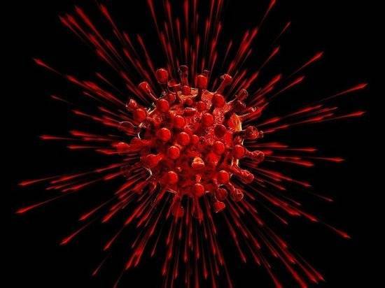 Ученые открыли первую значительную мутацию коронавируса - newtvnews.ru - Австралия - Индия - Тайвань