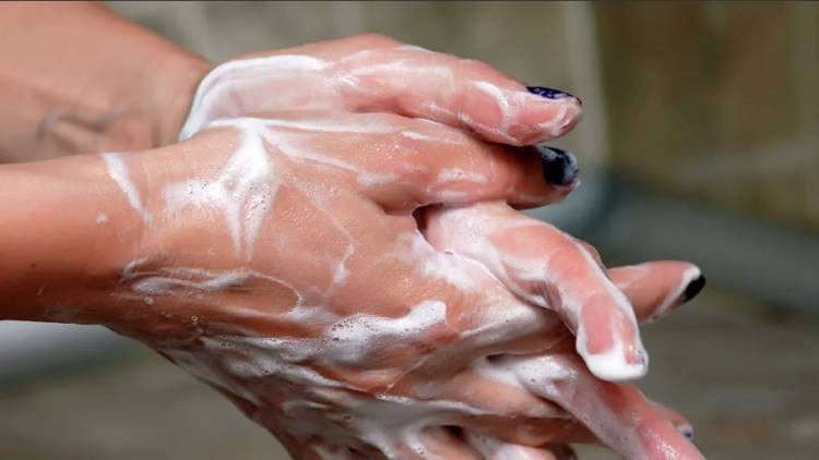 Специалисты сравнили антибактериальное мыло и обычное - crimea.ria.ru - Симферополь - республика Крым