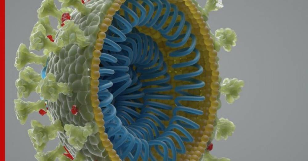 Ученые из Китая обнаружили агрессивные штаммы коронавируса - profile.ru - Китай