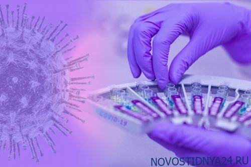 Открытие: новый коронавирус не боится нагревания - novostidnya24.ru