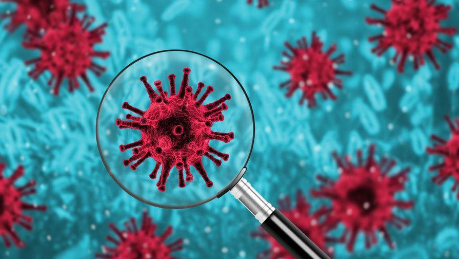 Создан микрочип для выявления в крови антител к COVID - gazeta.ru - Сша - Швейцария