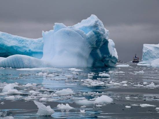 Из-за коронавируса полярники в Антарктиде столкнулись с ограничениями - newtvnews.ru - Антарктида