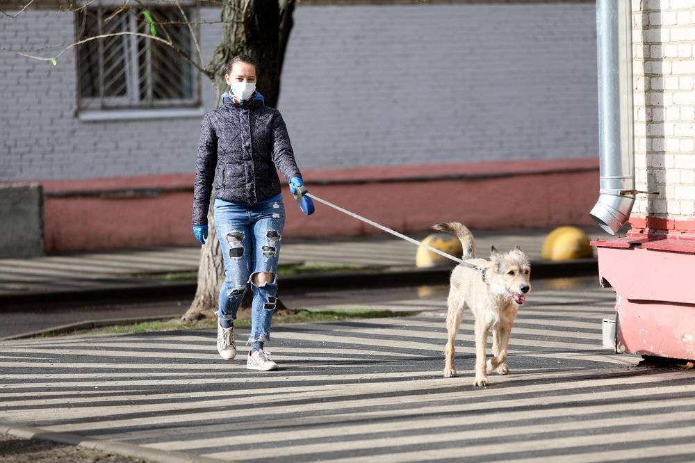 Сергей Собянин - Домочадцам больных COVID-19 разрешили гулять с собаками - tvc.ru - Москва