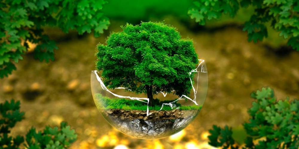 22 апреля во всем мире отмечается Международный День Земли - detaly.co.il