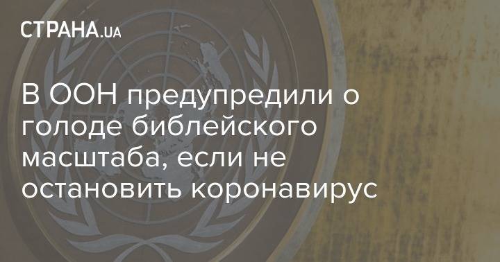 Дэвид Бизли - В ООН предупредили о голоде библейского масштаба, если не остановить коронавирус - strana.ua
