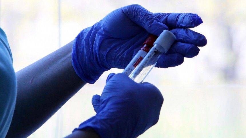 Массовое тестирование на антитела к коронавирусу запустят в мае - 5-tv.ru - Россия