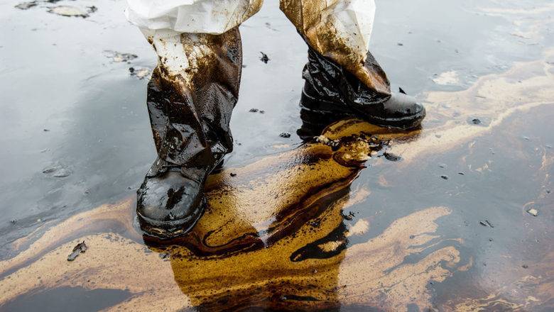 Эксперт: «После падения нефтяного рынка в Россию придет время возможностей» - newizv.ru - Россия - Польша