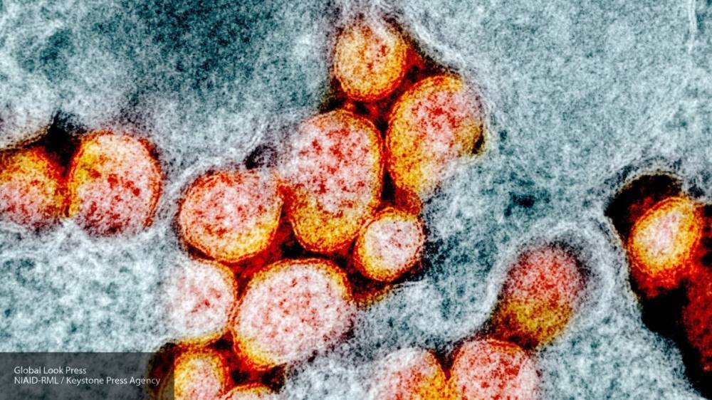 Франсуа Балл - Ученые назвали единственный способ остановить пандемию коронавируса - inforeactor.ru - Лондон