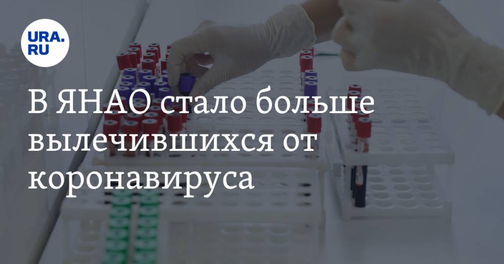 В ЯНАО стало больше вылечившихся от коронавируса - ura.news - округ Янао - Салехард - район Пуровский