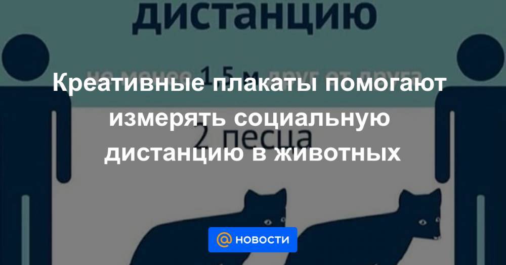 Креативные плакаты помогают измерять социальную дистанцию в животных - news.mail.ru - Россия