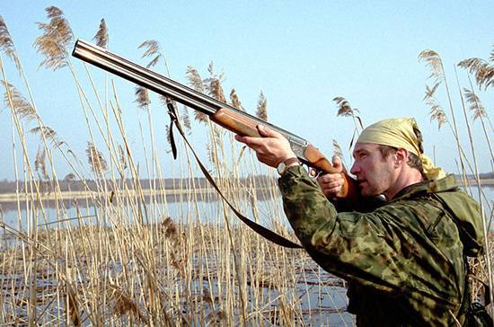 В Госдуме предложили продлить срок действия охотничьих путёвок - pnp.ru