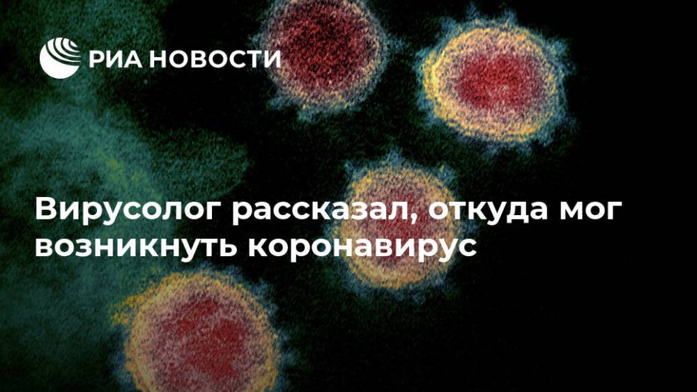 Николай Малышев - Вирусолог рассказал, откуда мог возникнуть коронавирус - ria.ru - Москва - Китай