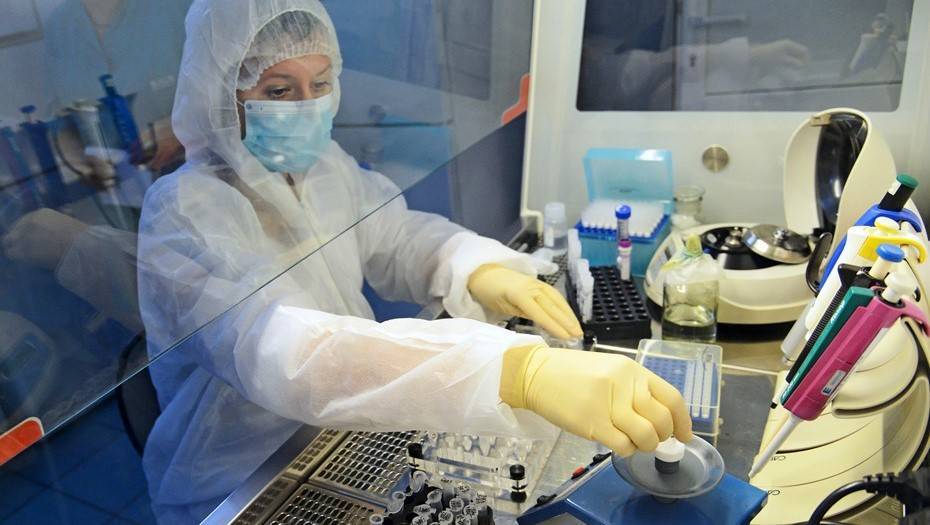 Когда лабораторные тесты на коронавирус дадут стопроцентную точность - dp.ru - Санкт-Петербург