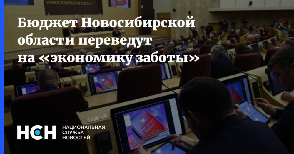 Бюджет Новосибирской области переведут на «экономику заботы» - nsn.fm - Новосибирская обл.