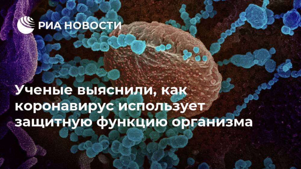 Ученые выяснили, как коронавирус использует защитную функцию организма - ria.ru - Москва