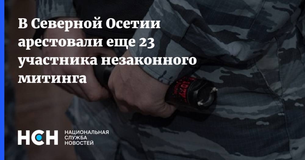 В Северной Осетии арестовали еще 23 участника незаконного митинга - nsn.fm - республика Алания