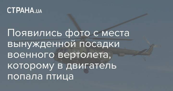 Появились фото с места вынужденной посадки военного вертолета, которому в двигатель попала птица - strana.ua - Украина