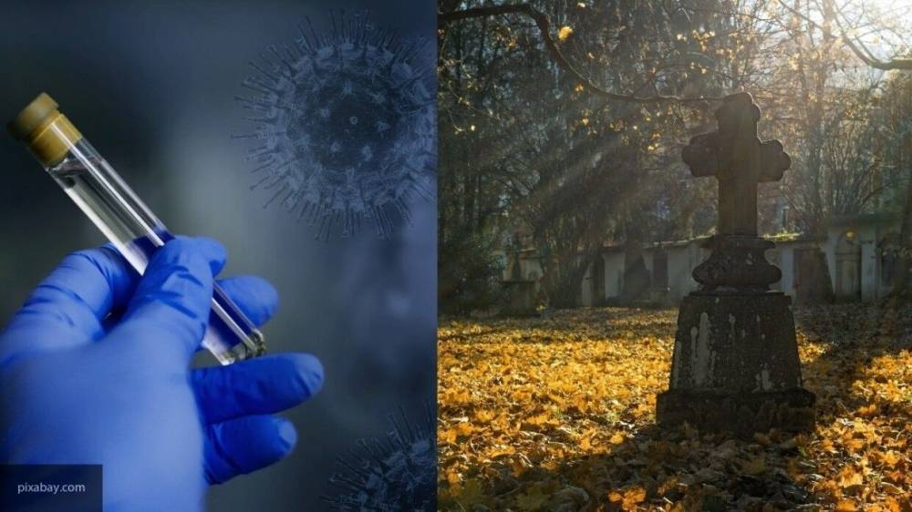 Эксперты оценили шансы коронавируса стать худшей пандемией в истории человечества - inforeactor.ru