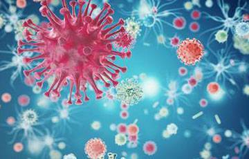 Назван новый очаг коронавируса в теле человека - charter97.org - Китай - Испания