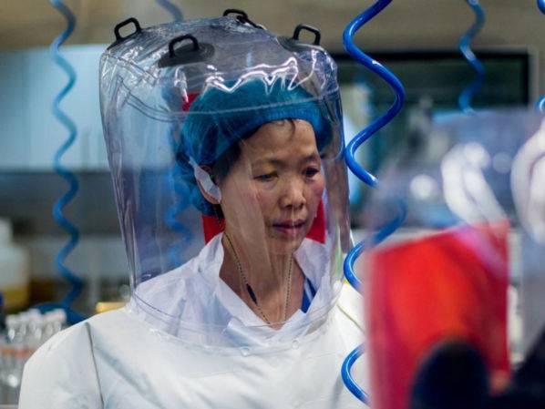 Ши Чжэнли - Китайская Летучая мышь, или Почему ученую Ши Чжэнли обвиняют в создании коронавируса. Главное - gordonua.com