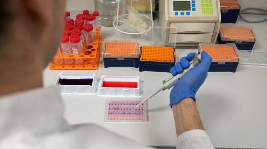 В Германии впервые разрешены клинические испытания вакцины против коронавируса - belta.by - Германия - Минск
