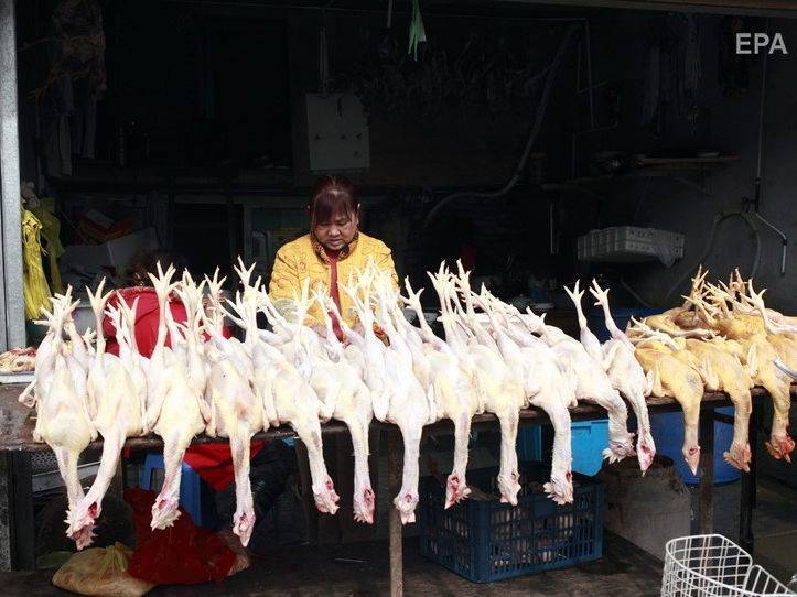Майк Помпео - США призвали Китай закрыть рынки диких животных. В Китае ответили, что таких рынков в стране нет - gordonua.com - Сша - Китай