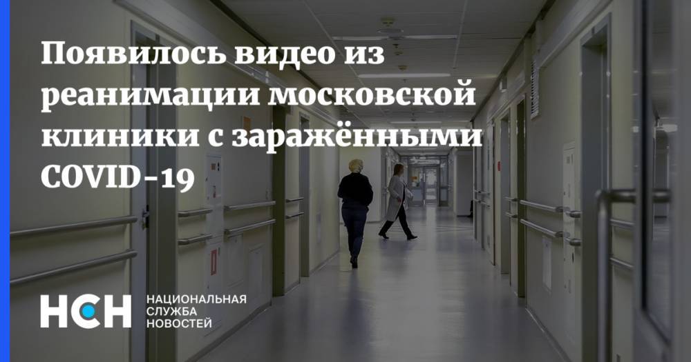 Валерий Вечорко - Появилось видео из реанимации московской клиники с заражёнными COVID-19 - nsn.fm - Москва