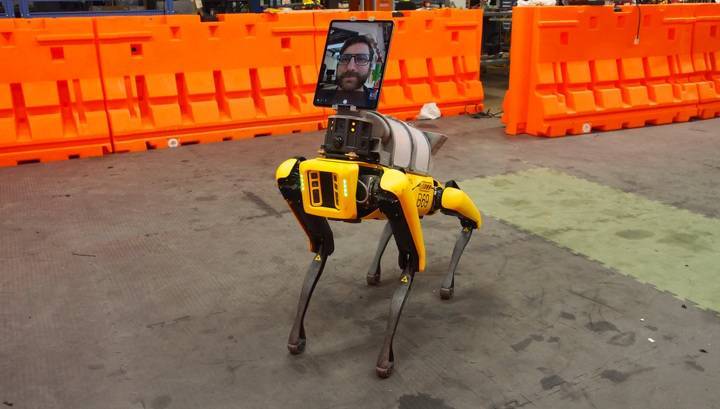 Робопсу Boston Dynamics нашли применение в телемедицине - vesti.ru - Бостон - Boston