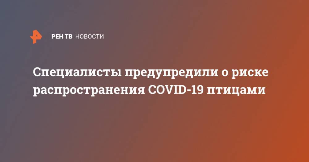 Татьяна Голикова - Специалисты предупредили о риске распространения COVID-19 птицами - ren.tv