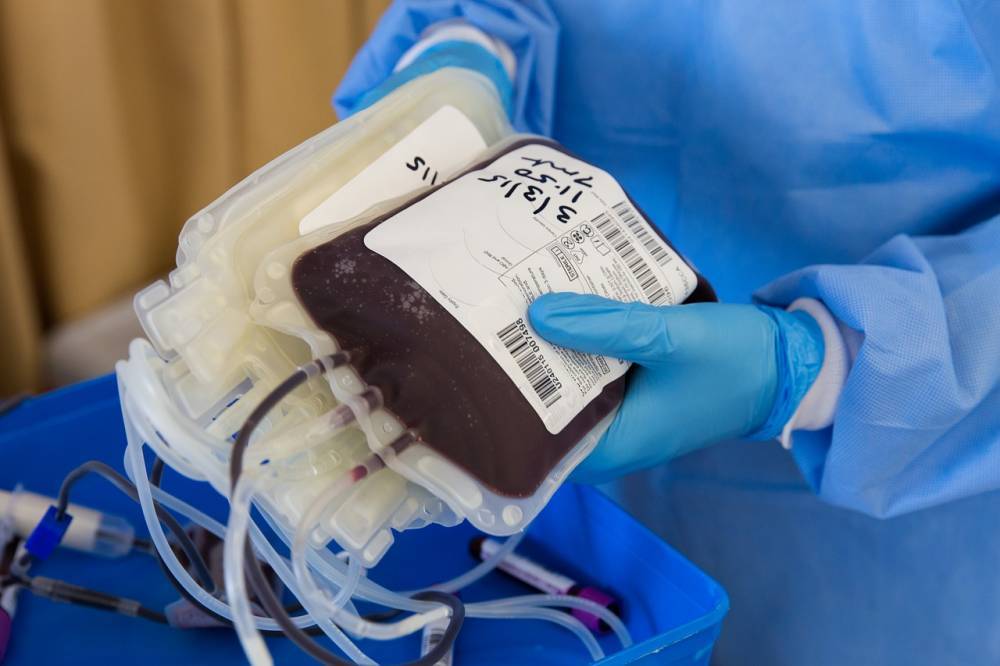 Ищут доноров крови, которые переболели COVID-19 - belsat.eu