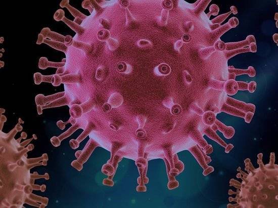 Названы четыре лучших способа борьбы с пандемией коронавируса - newtvnews.ru - Сша - штат Северная Каролина