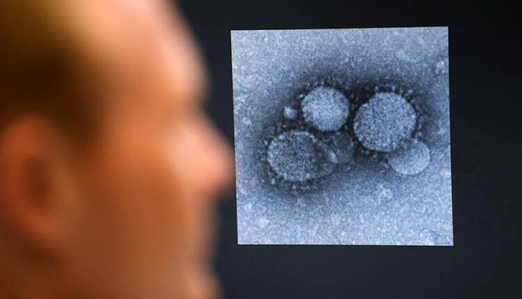 Ученые нашли в организме человека начальные точки заражения коронавирусом - newtvnews.ru - Sanger